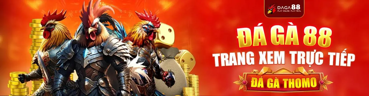 Đá Gà Trực Tuyến FVE88 App