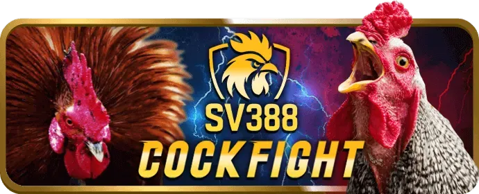 Xem Đá Gà Trực Tuyến FVE88 App